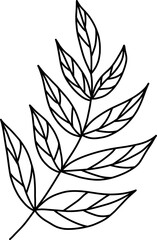 Flowers monoline art hand drawing minimalist illustration