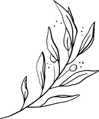 Flowers monoline art hand drawing minimalist illustration