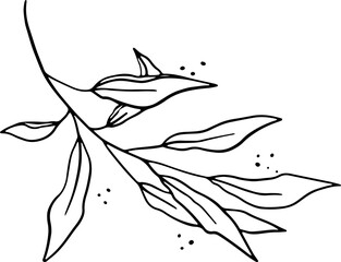Flowers monoline art hand drawing minimalist illustration