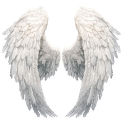 Obraz premium A pair of fluffy white angel wings with detailed feathers against a black background in a symmetrical view