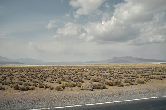 road in the desert with lake and mountains in background