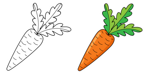 Carrot colored and line. Coloring book for kids. Vector illustration.