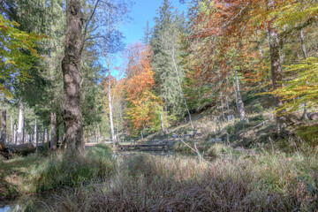 Landscapes, 2024, October