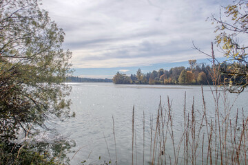 Landscapes, 2024, October