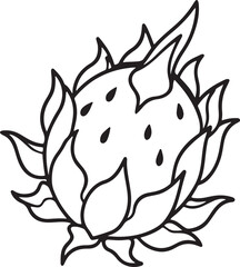 dragon fruit line art, black outline, vector and illustration, coloring book page line art drawing