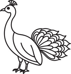 Obraz premium peacock line art, black outline, vector and illustration, coloring book page line art drawing
