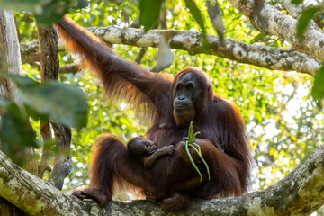 Naklejka premium Mother eating with child