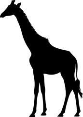 giraffe line art silhouette illustration
