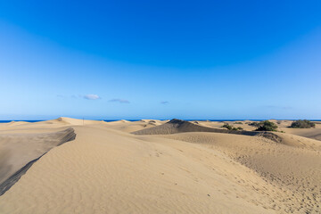Desert landscape and sand dunes in Maspalomas. View of dunes and sea. Gran Canaria Island Spain