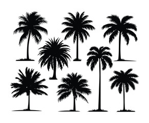 Natural Palm Tree Silhouette Vector Collection on White Background