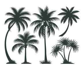 Tropical Palm Tree Silhouette Collection Vector Template Illustration