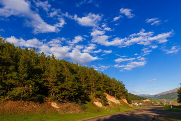 Roadside landscape at sunset time with pine trees, Armenia