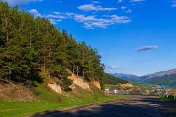 Roadside landscape at sunset time with pine trees, Armenia