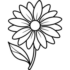 black and white flower