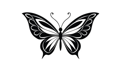 Elegant Butterfly in Flight