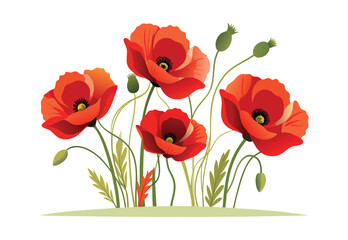 Obraz premium vintage poppy flowers vector illustration on white background