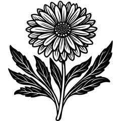 vector illustration of a flower