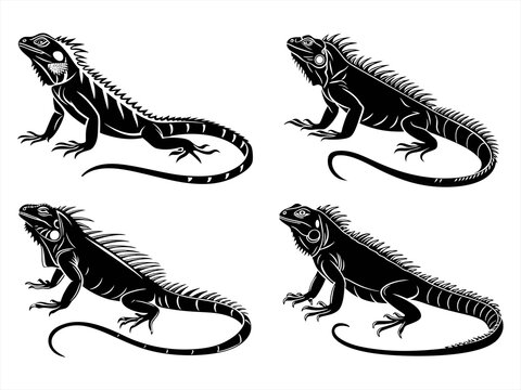 iguana sihouette black vector bundle