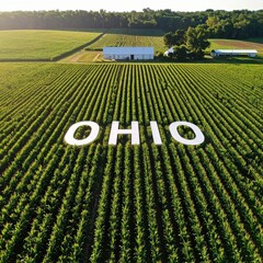 Aerial view of ohio cornfield with large lettering on a sunny day