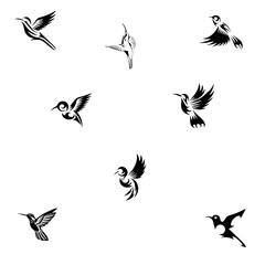 Hummingbird editable  vector set  3