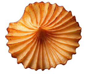 A single, golden-brown, crispy potato disc, exhibiting a unique, pleated, radial pattern, reminiscent of a flower or a sunburst, is shown against a stark black background
