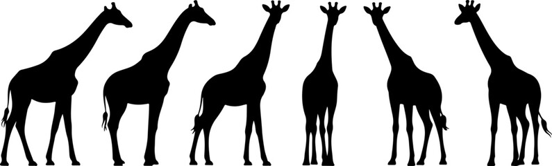 Giraffe Bundle line art silhouette illustration