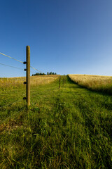 Fototapeta premium Path Through the Fields: A Rural Perspective