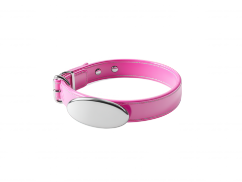 A bright pink pet collar with a shiny silver buckle and name tag is displayed against a clean white background in a studio setting for product photography.
