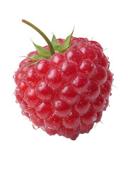 Freshly picked raspberry with delicate green leaves and glistening droplets of water presents a vibrant and juicy look on a pure white studio background alone.