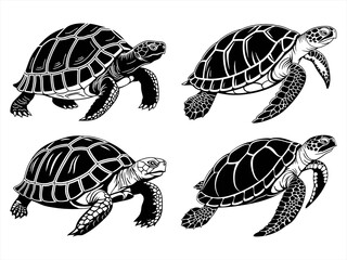 tortoise sihouette black vector bundle
