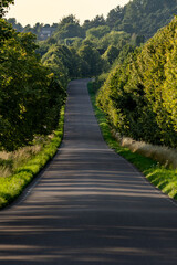 road in the forest skåne Sweden