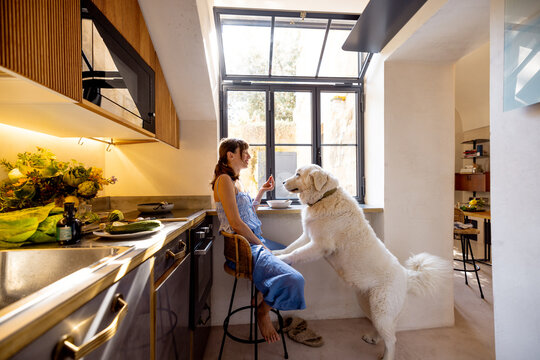 A woman shares a peaceful breakfast moment with her large white dog in a sunny Italian kitchen. Great for pet food brands, home lifestyle, or kitchen design content