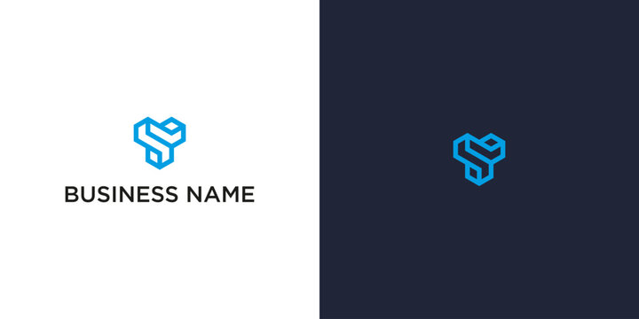 TS Monogram Logo &ndash; Minimalist Abstract Vector for Corporate Branding