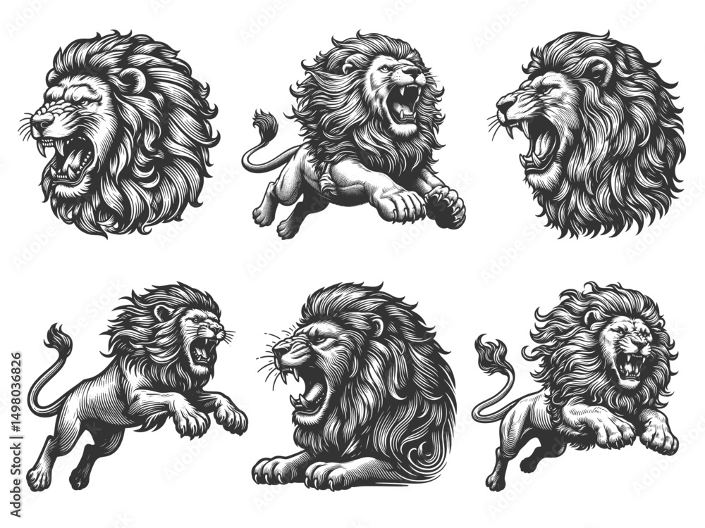 Poster roaring lion set collection bundle sketch engraving generative ai vector illustration. scratch board