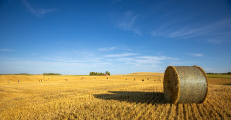 hay bale in the field Skåne Sweden 