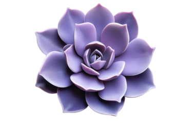 Purple flower with a green stem