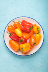 White plate with a blue rim holding an assortment of vibrant orange, red, and yellow mini bell...