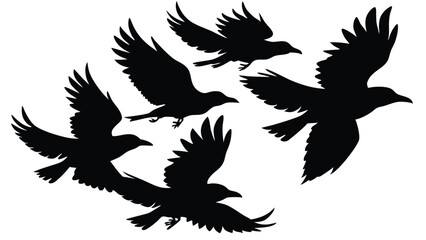 Crows in Midflight