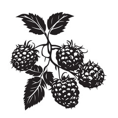 blackberry branch image, logo, black and white vector graphics
