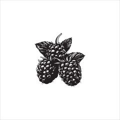 image of blackberry fruit, logo, black and white vector graphics
