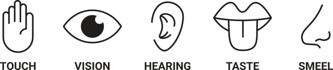 simple black and white line icons, minimalist, black and white, monochrome
 Human sense icons. Five human senses icons. Vision smell hearing touch taste senses filling, Vector illustration eps 10