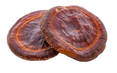 Two brown mushrooms are sitting on a white background