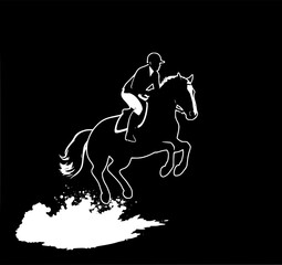Equestrian Skill Silhouette: A dynamic illustration shows a rider skillfully navigating their horse over an obstacle, embodying the grace and strength of equestrianism. 