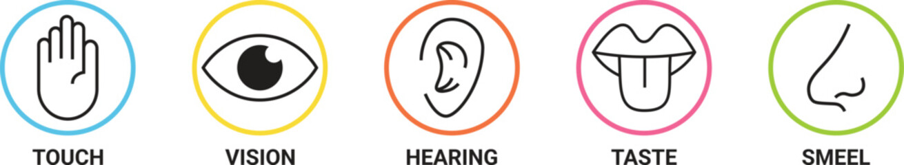 hand, eye, ear, nose, mouth
Human sense icons. Five human senses icons. Vision smell hearing touch taste senses filling, Vector illustration eps 10
