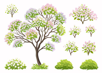 Lilac Tree & Bushes: Spring Blossoms Illustrations