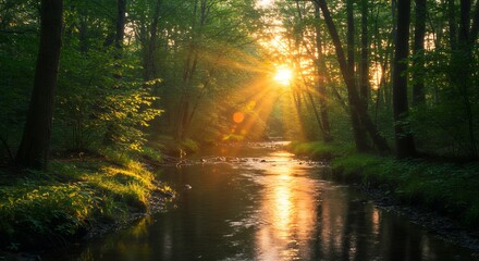 Obraz premium Forest River Sunset Scenery
