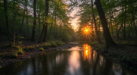 Obraz premium Sun Setting Over River and Trees