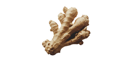 Close-up of a single piece of ginger root, showcasing its knobbly, tan-colored surface and intricate branching structure against a black background