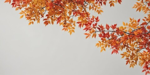 Vibrant red, orange, and yellow leaves arranged along a crisp white background , red, orange