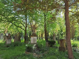 Zugewachsener Friedhof in München